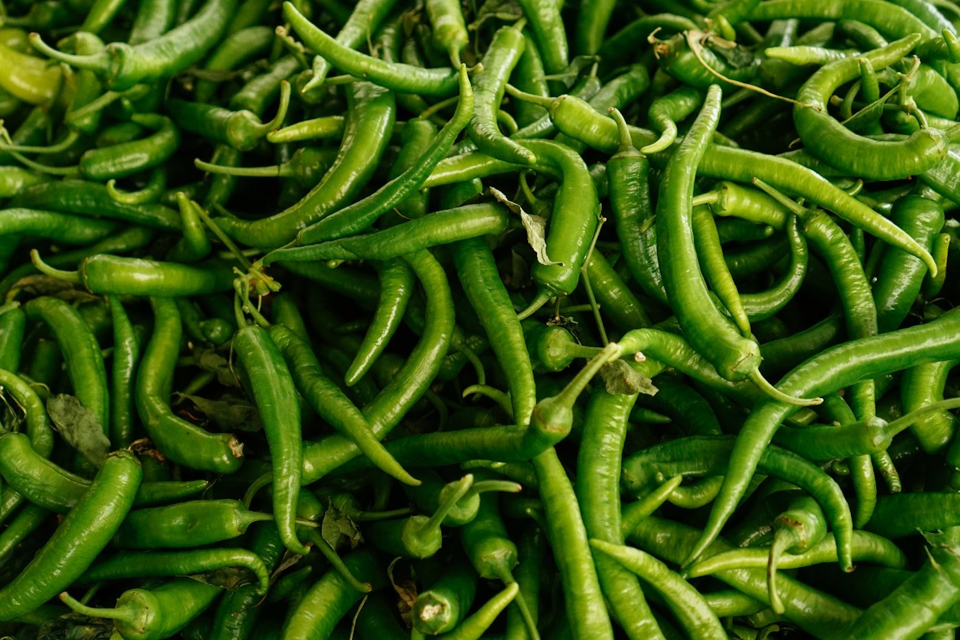 GREEN CHILLI FRESH
